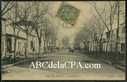 Carte Postale Ancienne  : REGHAIA La grande rue .