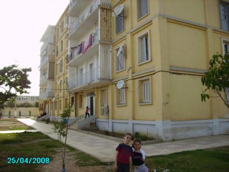 Ezzergga ...Hocine wlad ezzerga de Reghaia fi Montreal te remercie bpc...pour les photos...