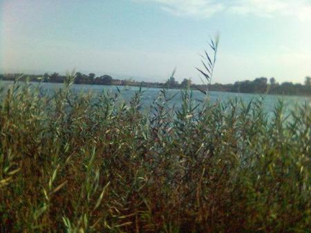 Lac de Reghaia au mois d'aout 2007